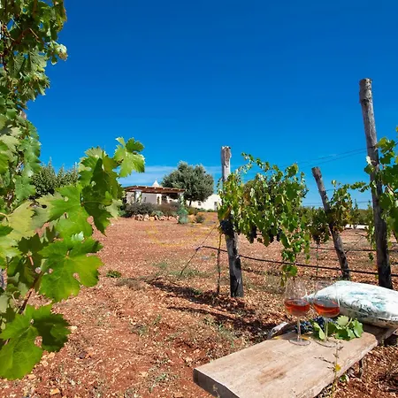 Td Trulli Perla Bianca Trulli W Pool Vineyards