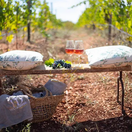 Dom wakacyjny Td Trulli Perla Bianca Trulli W Pool Vineyards Martina Franca