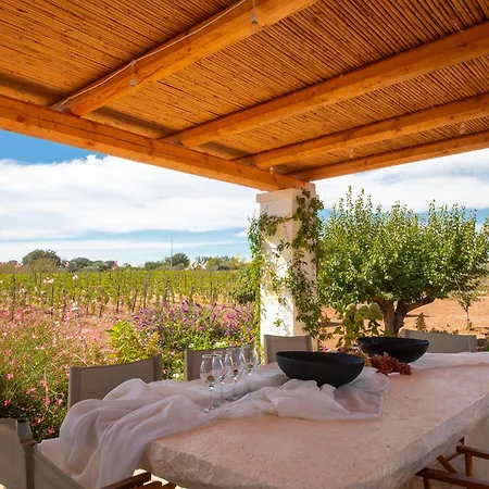 Td Trulli Perla Bianca Trulli W Pool Vineyards *