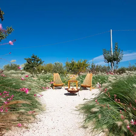 Td Trulli Perla Bianca Trulli W Pool Vineyards Dom wakacyjny Martina Franca