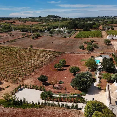 Td Trulli Perla Bianca Trulli W Pool Vineyards *