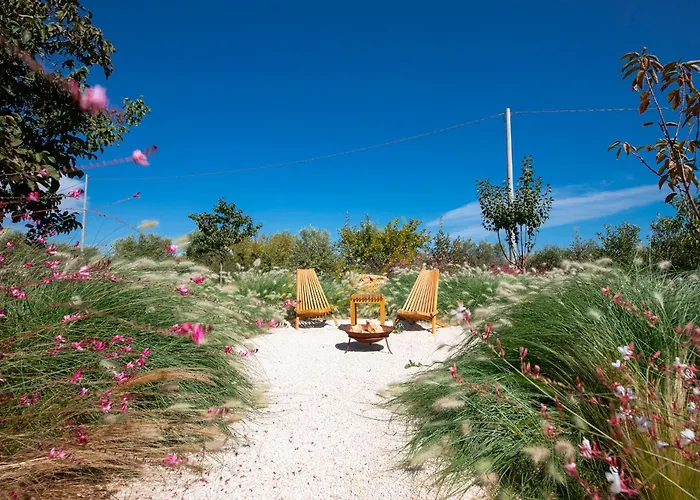 Td Trulli Perla Bianca Trulli W Pool Vineyards בית נופש מרטינה פרנקה