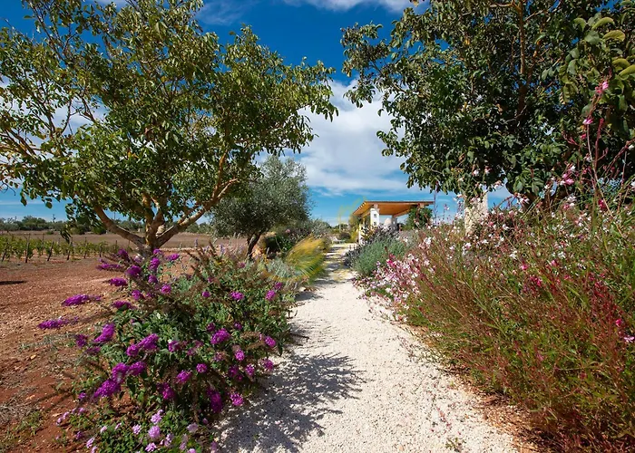 Td Trulli Perla Bianca Trulli W Pool Vineyards בית נופש