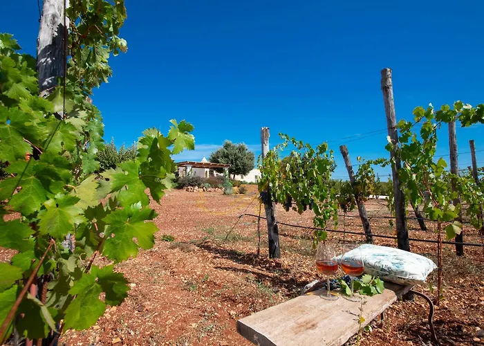 Td Trulli Perla Bianca Trulli W Pool Vineyards